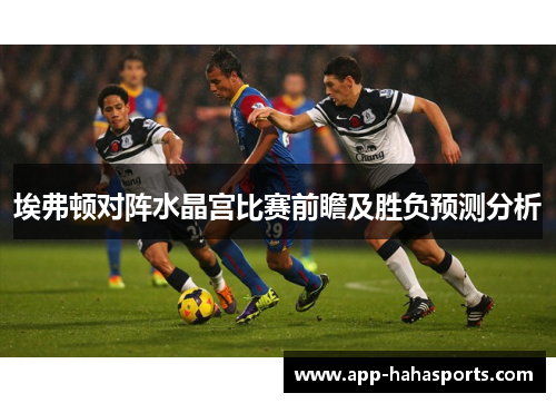 埃弗顿对阵水晶宫比赛前瞻及胜负预测分析